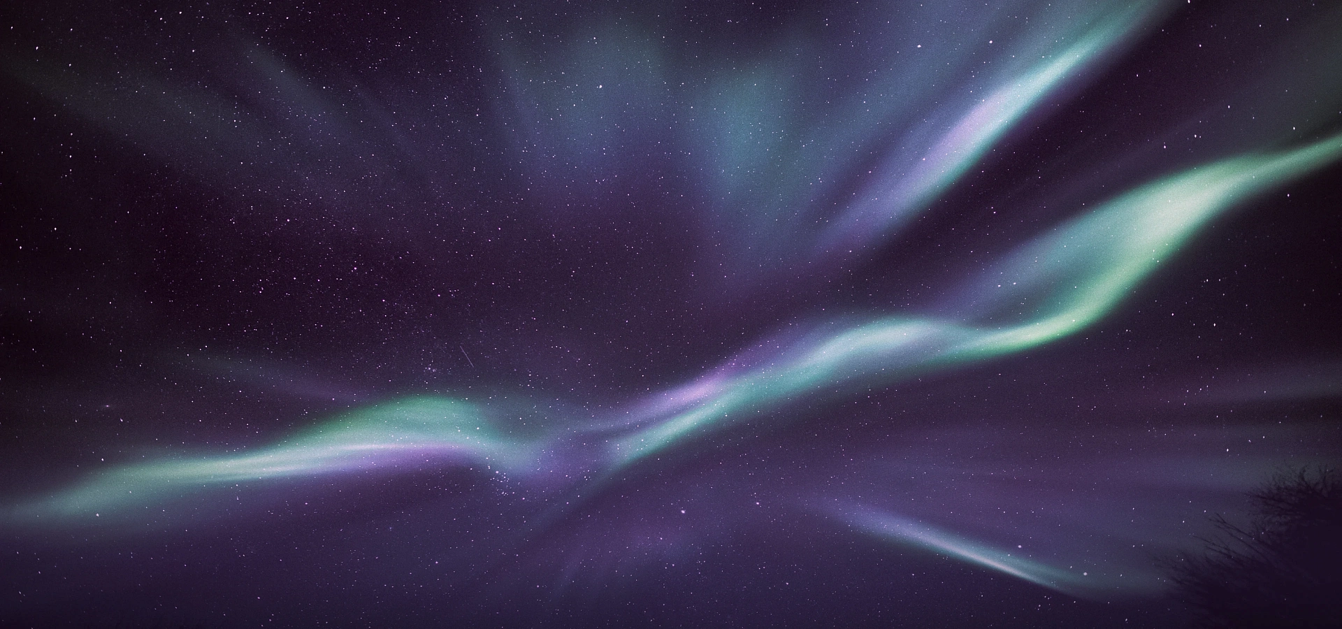 Limitless experience